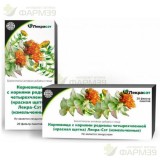 РОДИОЛА ЧЕТЫРЕХЛИСТНАЯ (КРАСНАЯ ЩЕТКА) 1.0Г. №20 ЧАЙН. НАПИТОК БАД /ЛЕКРА-СЭТ/                                                                                                                                                                            